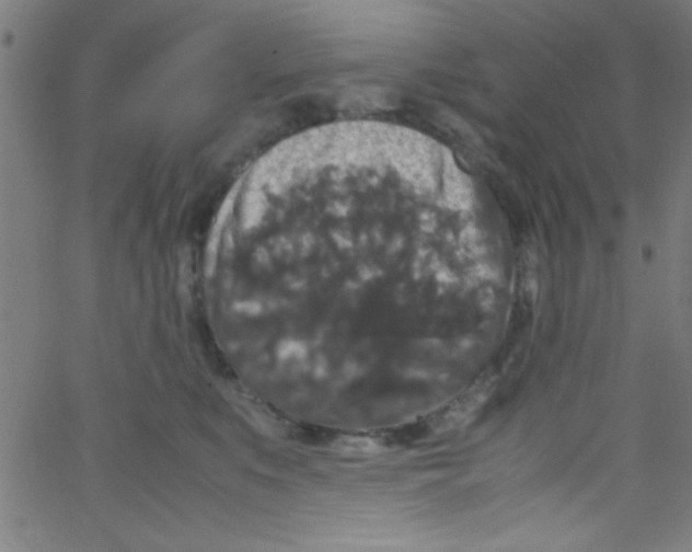 X0000067400519200604281911