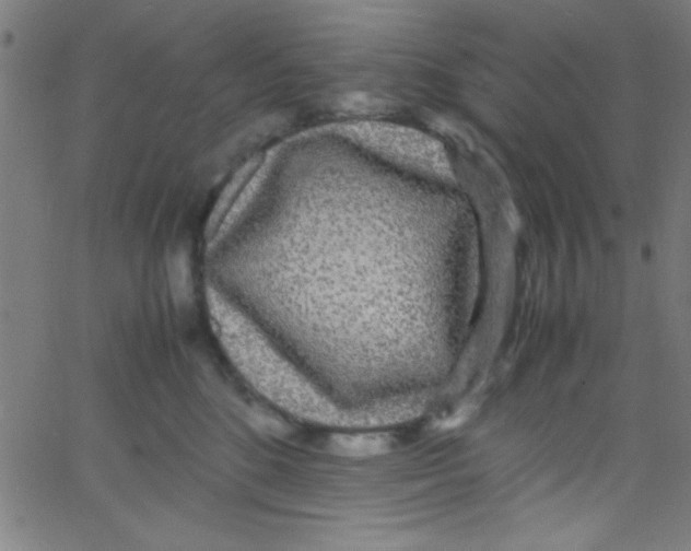 X0000067400520200604281911