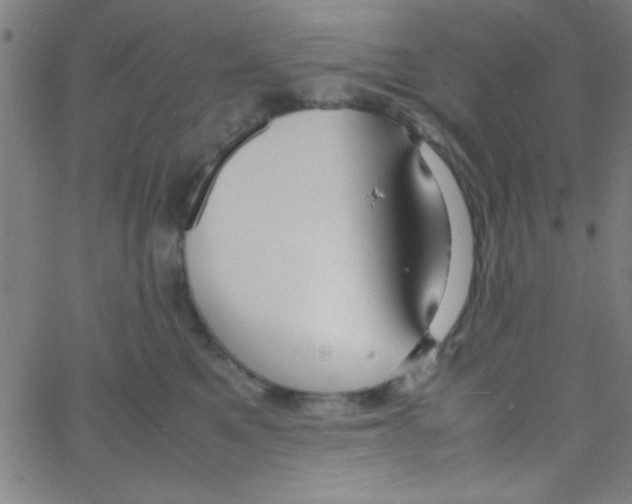 X0000067400521200604281911