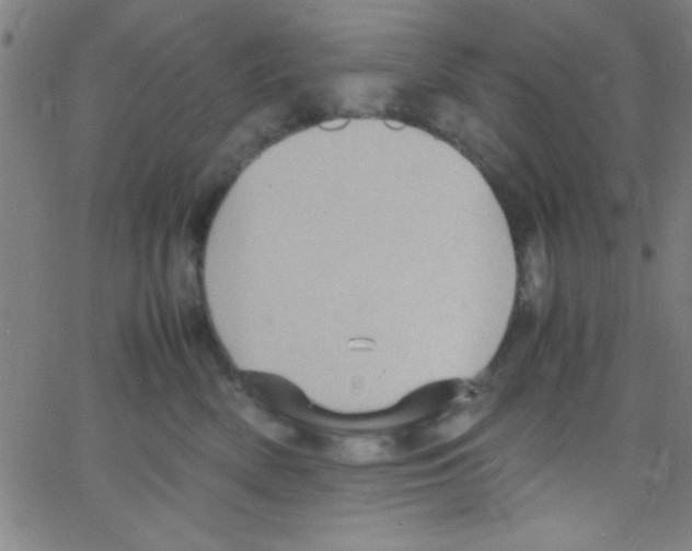 X0000067400522200604281911