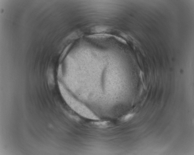 X0000067400524200604281911