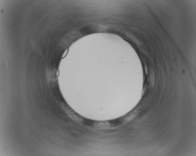 X0000067400525200604281911