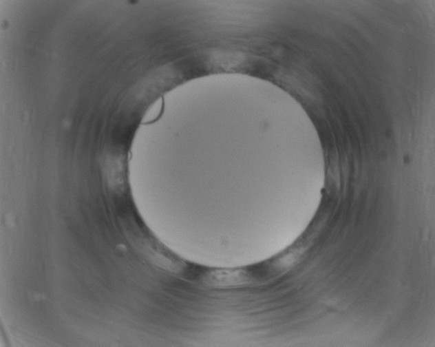 X0000067400526200604281911