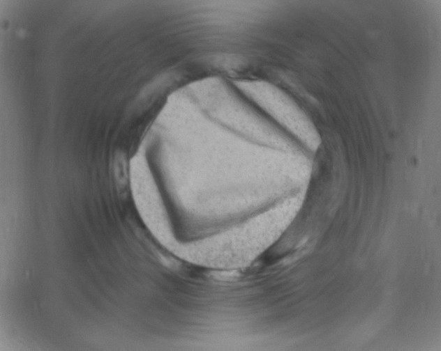 X0000067400528200604281911