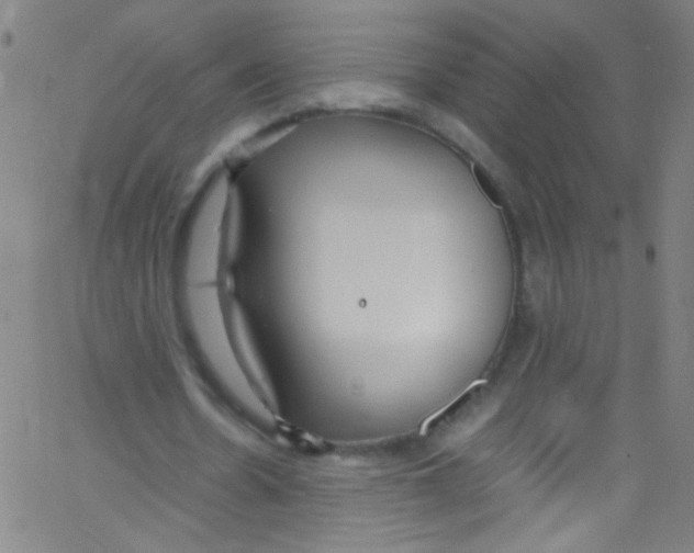 X0000067400530200604281910