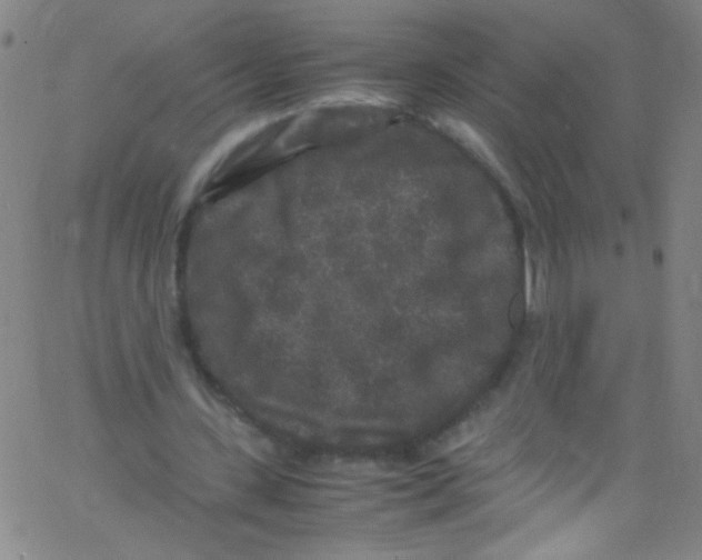 X0000067400531200604281910