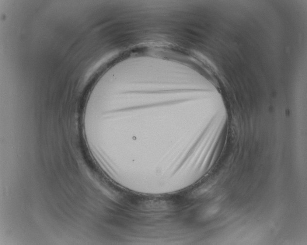 X0000067400535200604281910