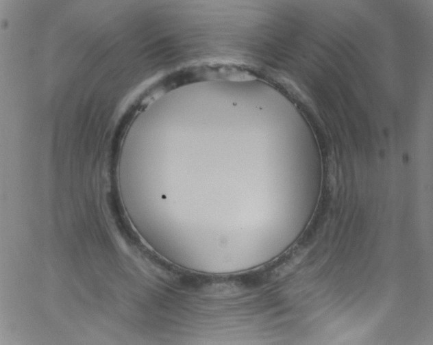 X0000067400536200604281910