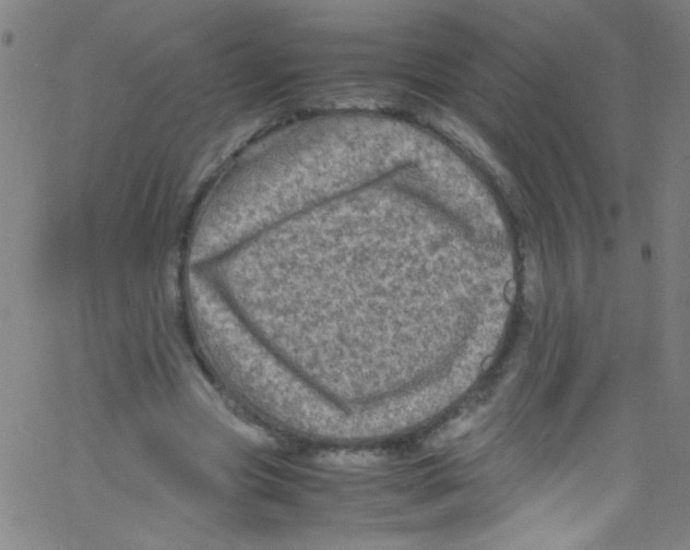 X0000067400537200604281910