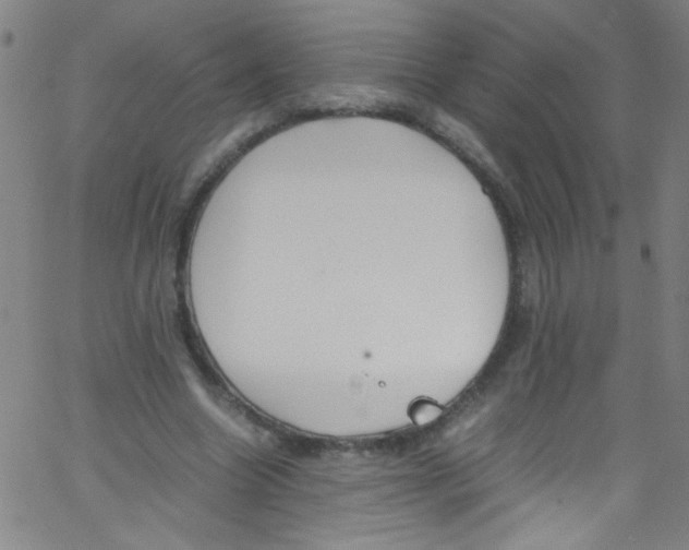 X0000067400538200604281910