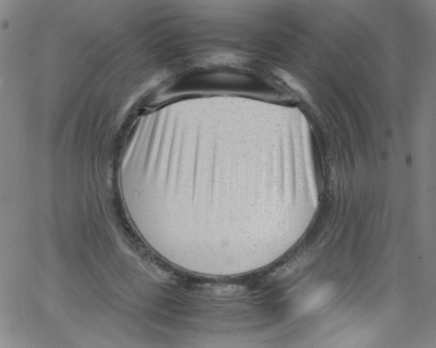 X0000067400539200604281910