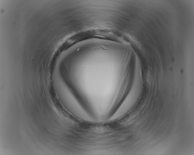 X0000067400540200604281910