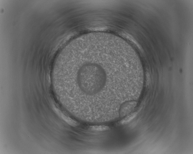 X0000067400541200604281910