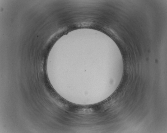 X0000067400543200604281910