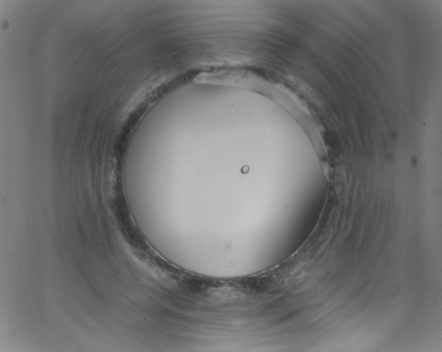 X0000067400544200604281910