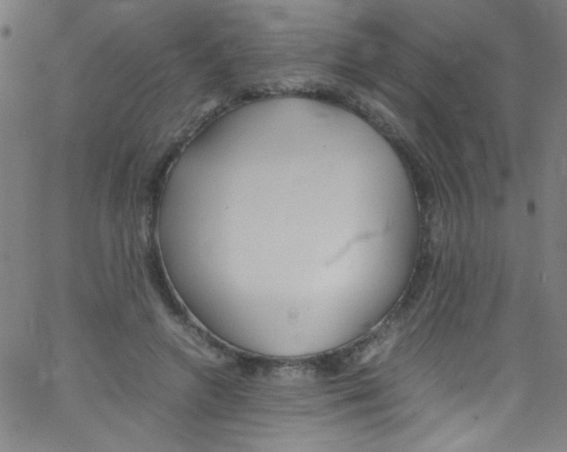 X0000067400546200604281910