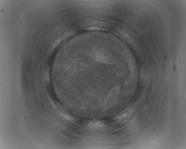 X0000067400547200604281910