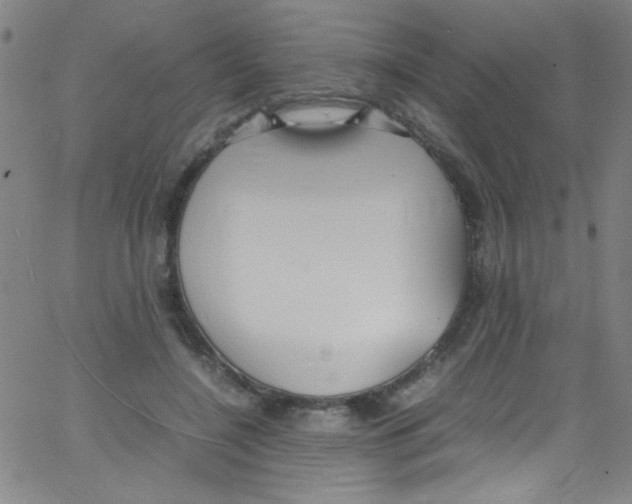 X0000067400548200604281910