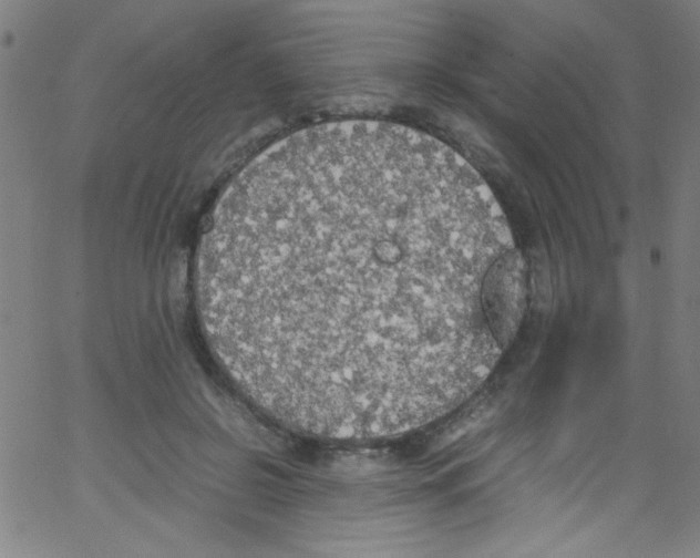 X0000067400550200604281910