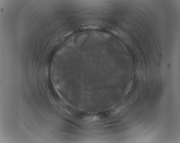 X0000067400551200604281910