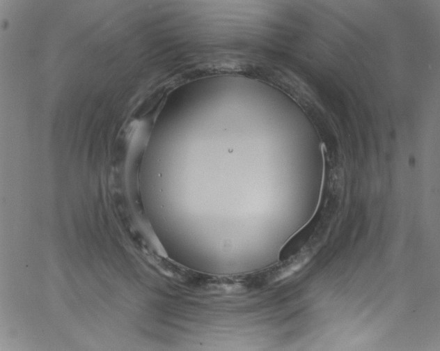 X0000067400552200604281910