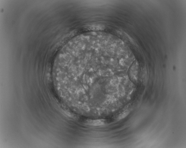 X0000067400553200604281910