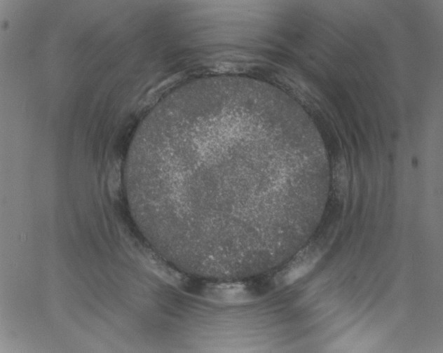 X0000067400554200604281910