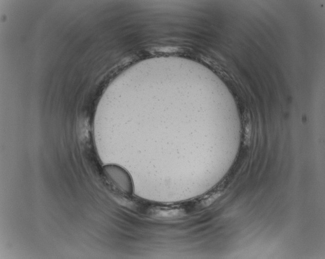 X0000067400555200604281910