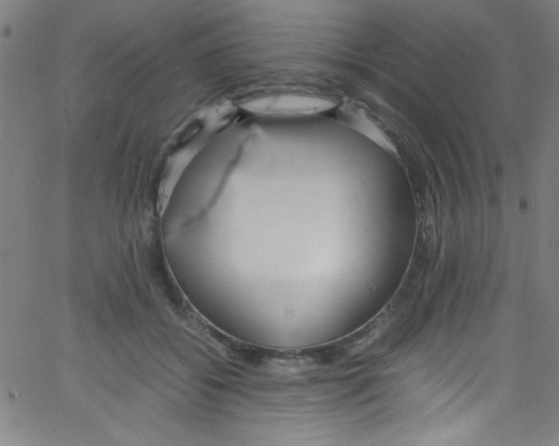 X0000067400556200604281910