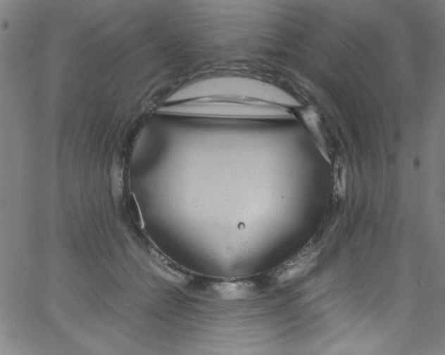 X0000067400558200604281910