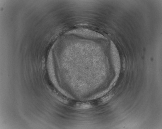 X0000067400559200604281910