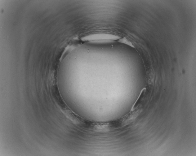 X0000067400560200604281910