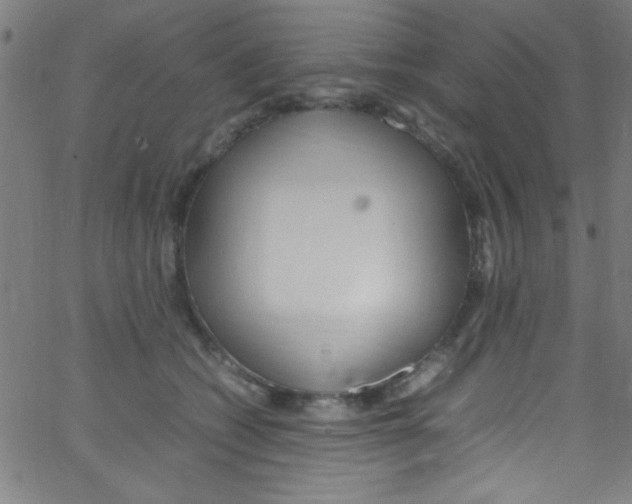 X0000067400562200604281910