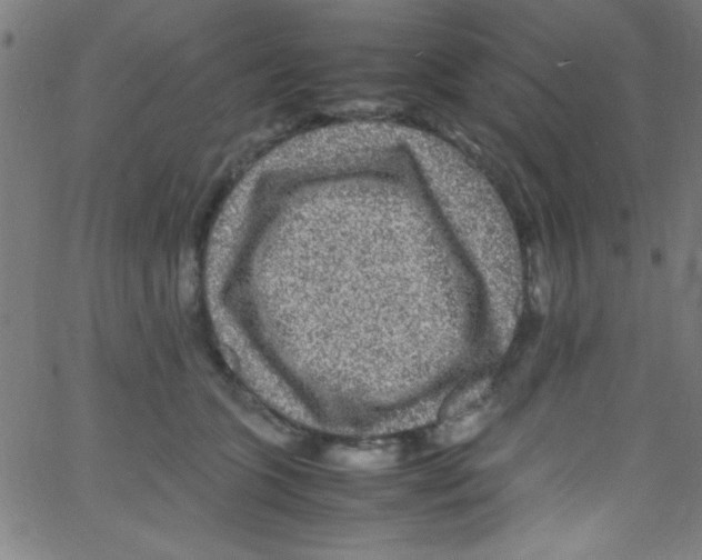 X0000067400563200604281910