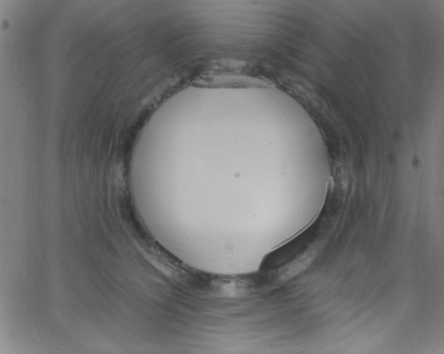 X0000067400564200604281910