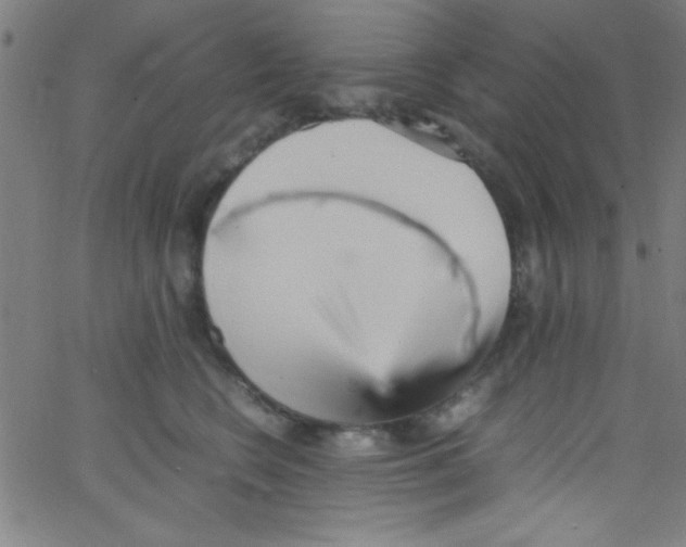 X0000067400566200604281910