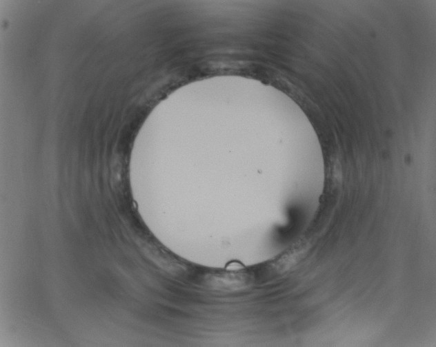 X0000067400567200604281910