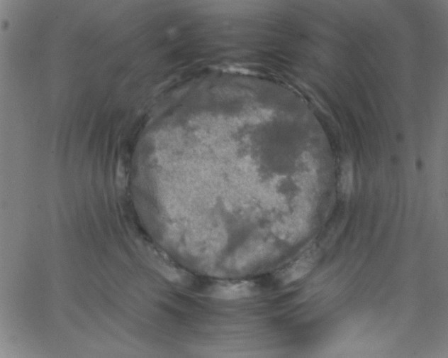 X0000067400569200604281911