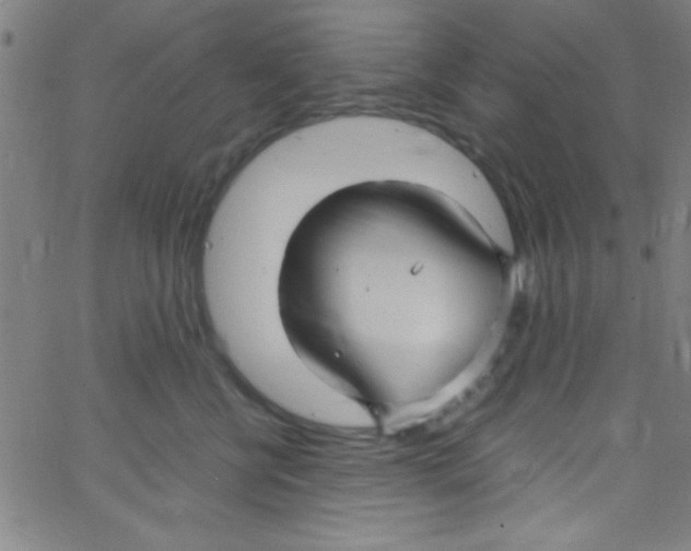 X0000067400570200604281911