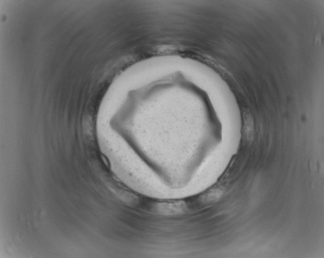 X0000067400571200604281911