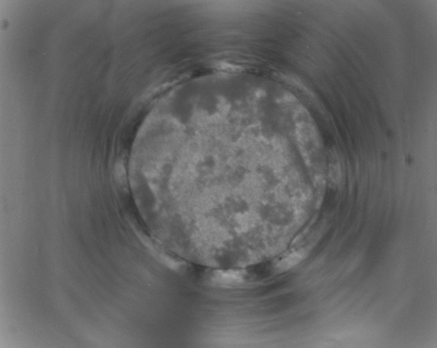 X0000067400573200604281911