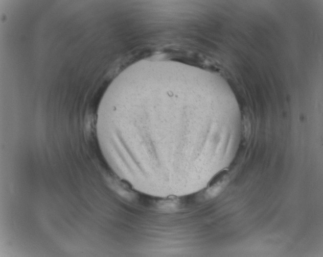 X0000067400574200604281911