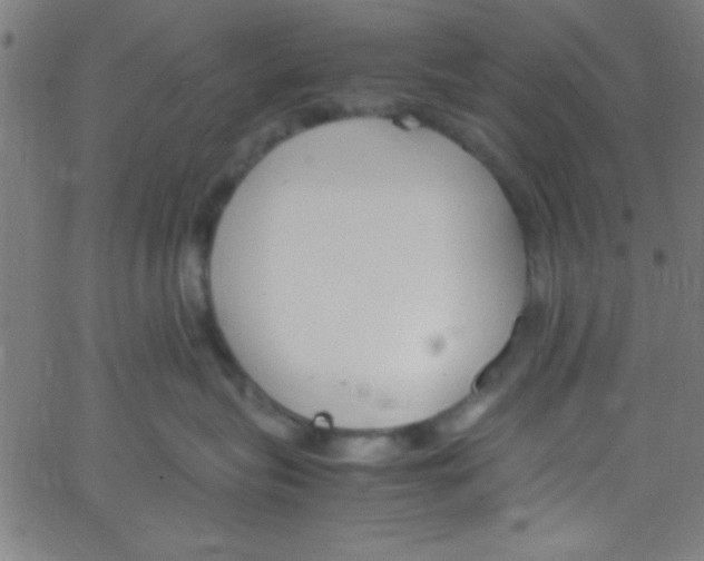 X0000067400575200604281911