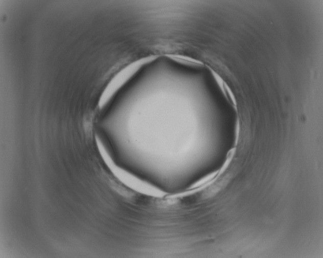 X0000067400576200604281911