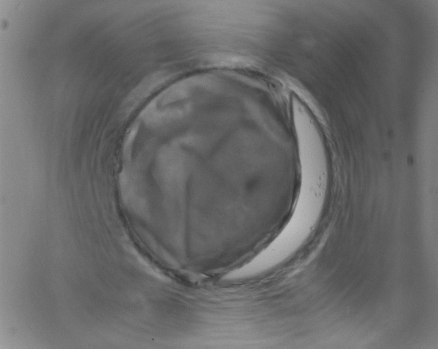 X0000067400577200604281910