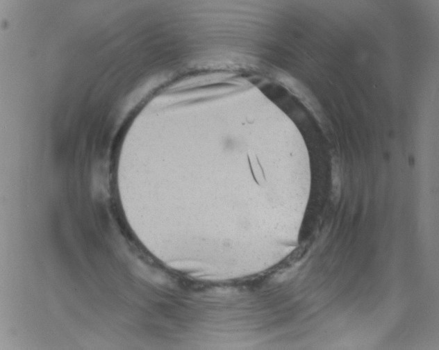 X0000067400578200604281910