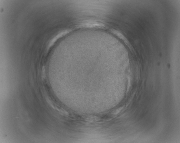 X0000067400579200604281910