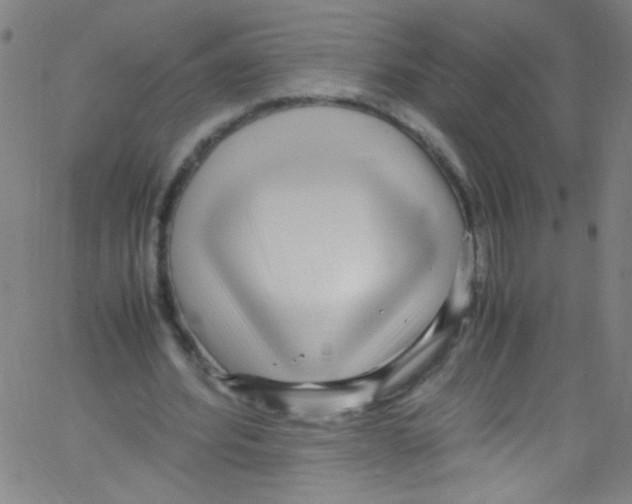 X0000067400580200604281910