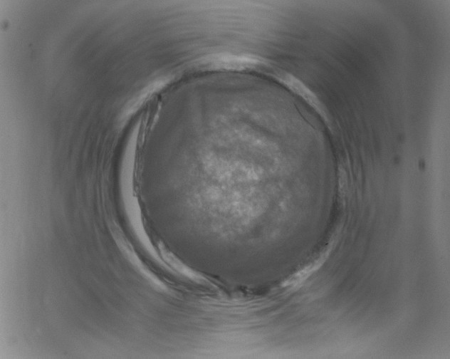 X0000067400581200604281910