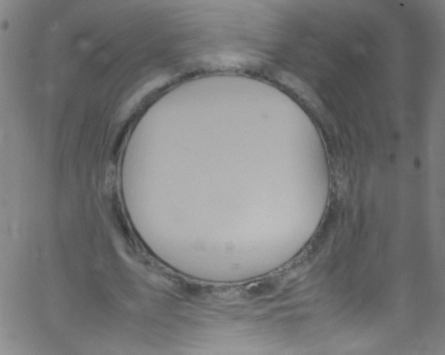 X0000067400583200604281910